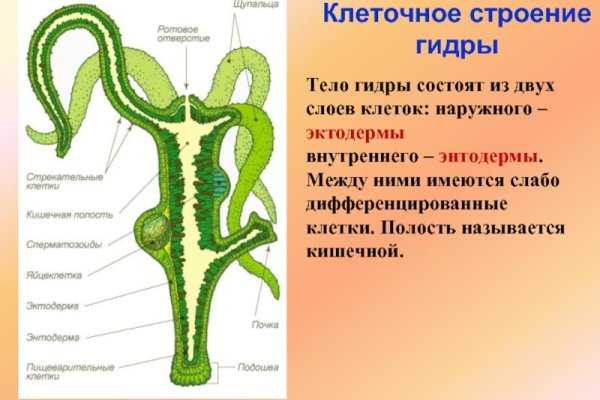 Кракен нарколог