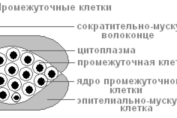 Кракен купить наркотики