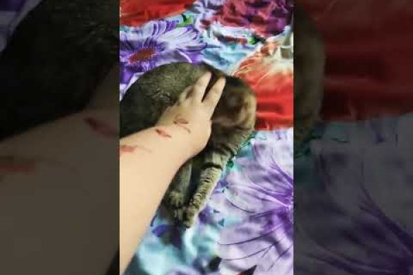 Как вывести деньги с кракена